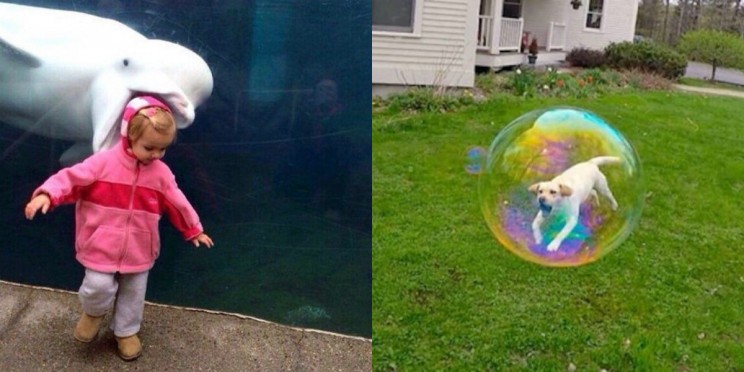 28 Perfectly Timed Photos That Will Make You Look Twice