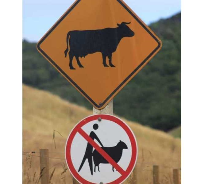 20 Weird and Bizarre Roads Signs That Will Make You Stop In Your Tracks