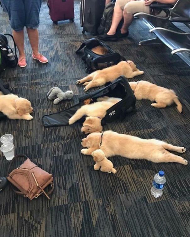 Strange Airport Moments That Will Make You Look Twice